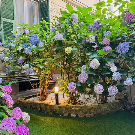 Lucy's Flowers La Spezia